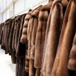 Скандинавская норка: как выбрать хороший мех